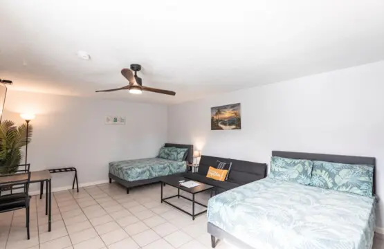 53003 152208 xYk4BWMecROZp4TksN8fI6dy967izHZ9quYOJLb757M 679a924c33cde.jpg