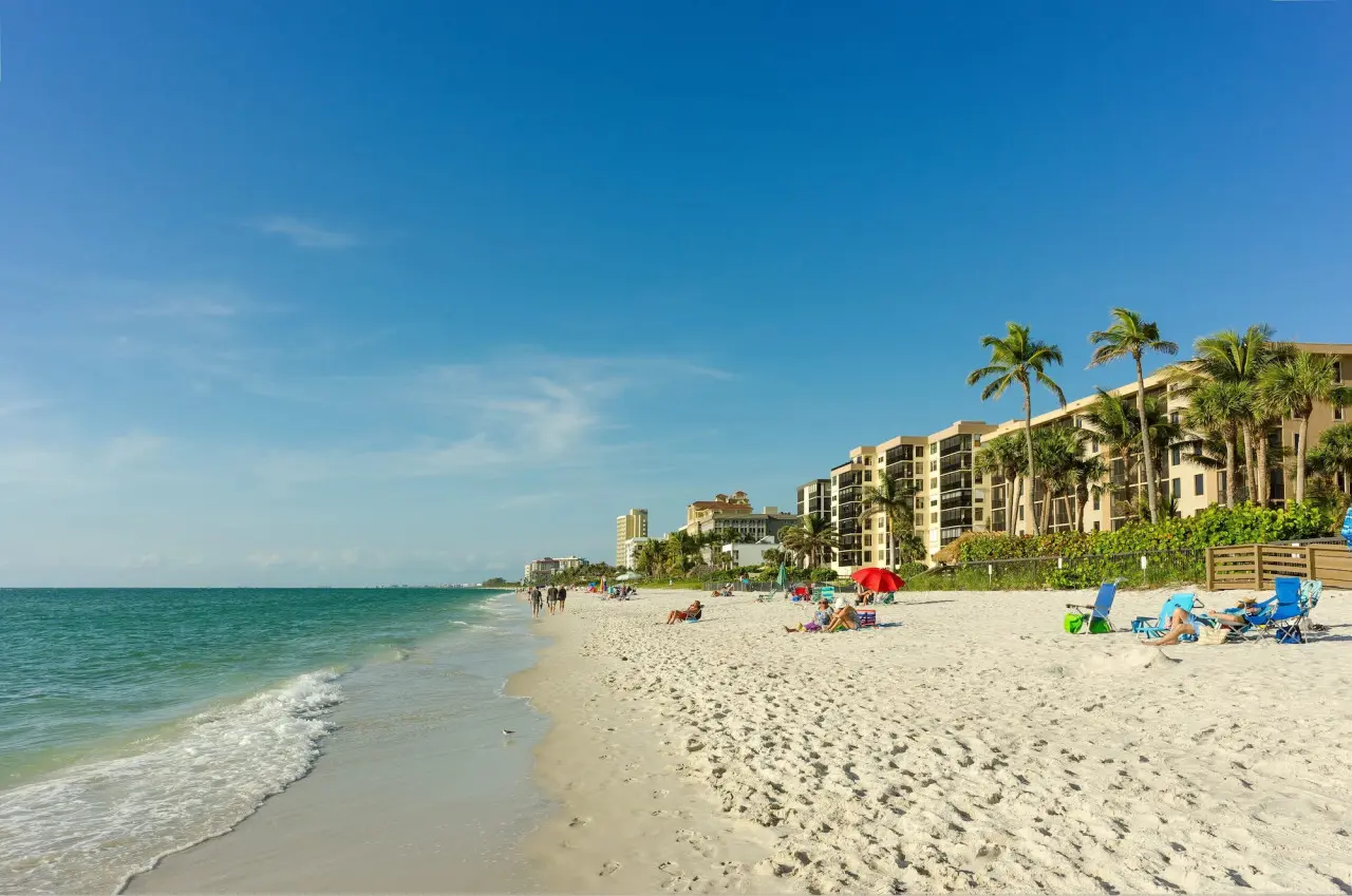 53003 301429 nTFdur9nGHvef92Bs8sw2 ILa2ZaYPIs 6adEqDOFpY 672397cf27604.jpg