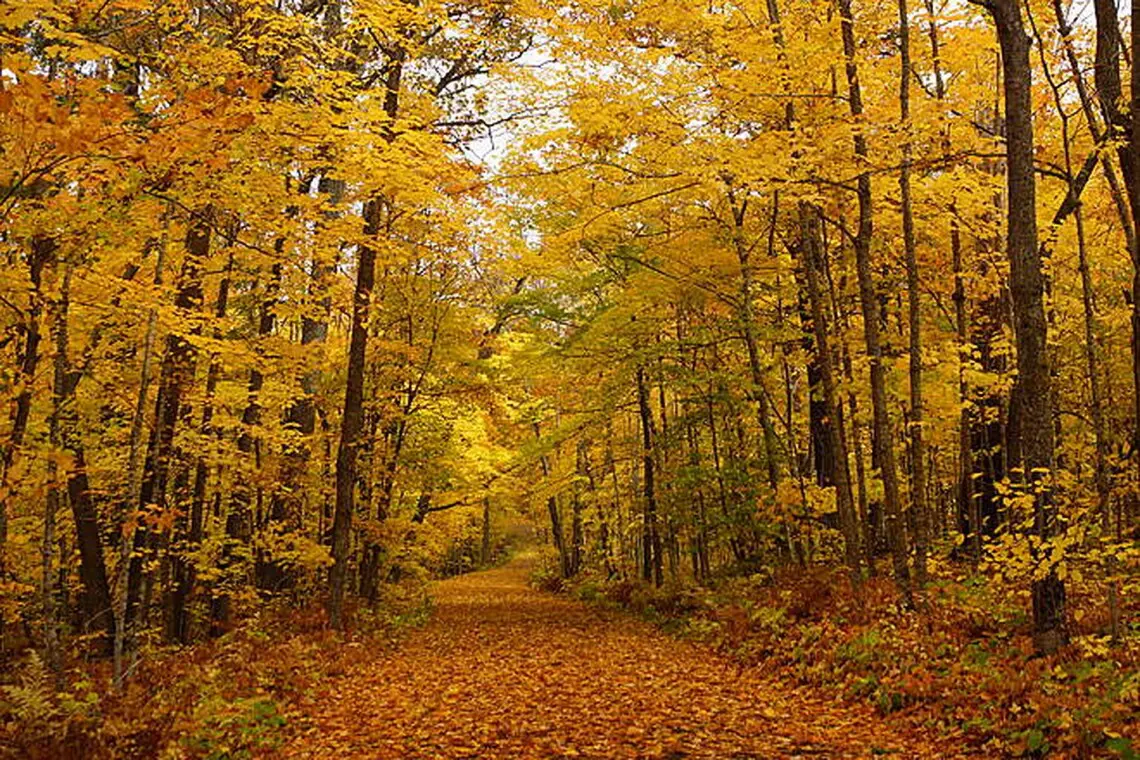 itasca trail upscaled