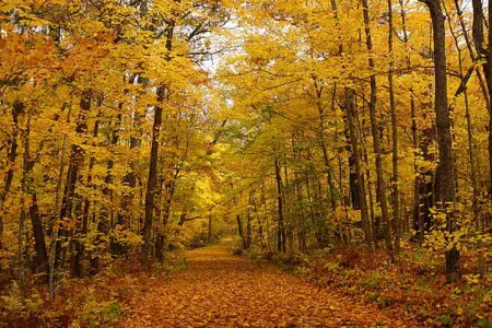 itasca trail upscaled