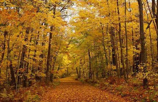 itasca trail upscaled