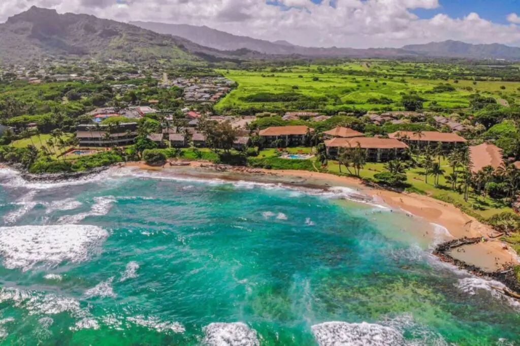 53003 138770 0tAtQxsqI5YhID7VUmGYXjVHb7Z5jsnPsG73mAzbA6o 694a7d15e70f9.jpg