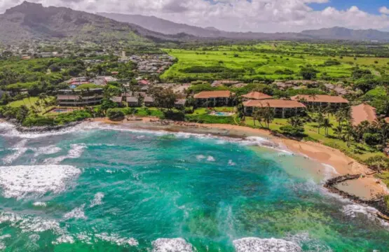 53003 138770 0tAtQxsqI5YhID7VUmGYXjVHb7Z5jsnPsG73mAzbA6o 694a7d15e70f9.jpg