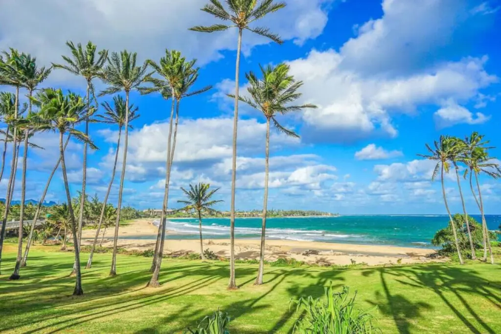 53003 138770 SuOxYbPfEr2UHUV MZQyo6KrZfhtdeNxbOO6HgeeS0U 6948446dc209c.jpg