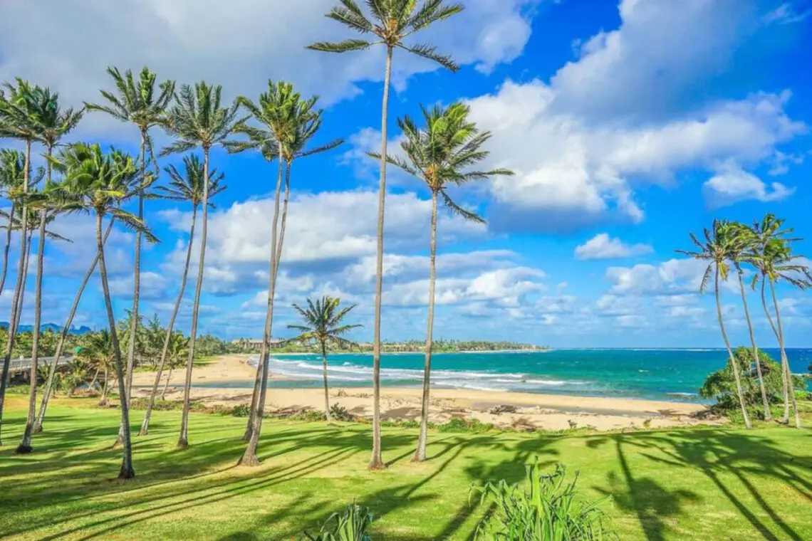 53003 138770 SuOxYbPfEr2UHUV MZQyo6KrZfhtdeNxbOO6HgeeS0U 6948446dc209c.jpg