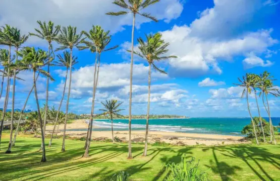 53003 138770 SuOxYbPfEr2UHUV MZQyo6KrZfhtdeNxbOO6HgeeS0U 6948446dc209c.jpg