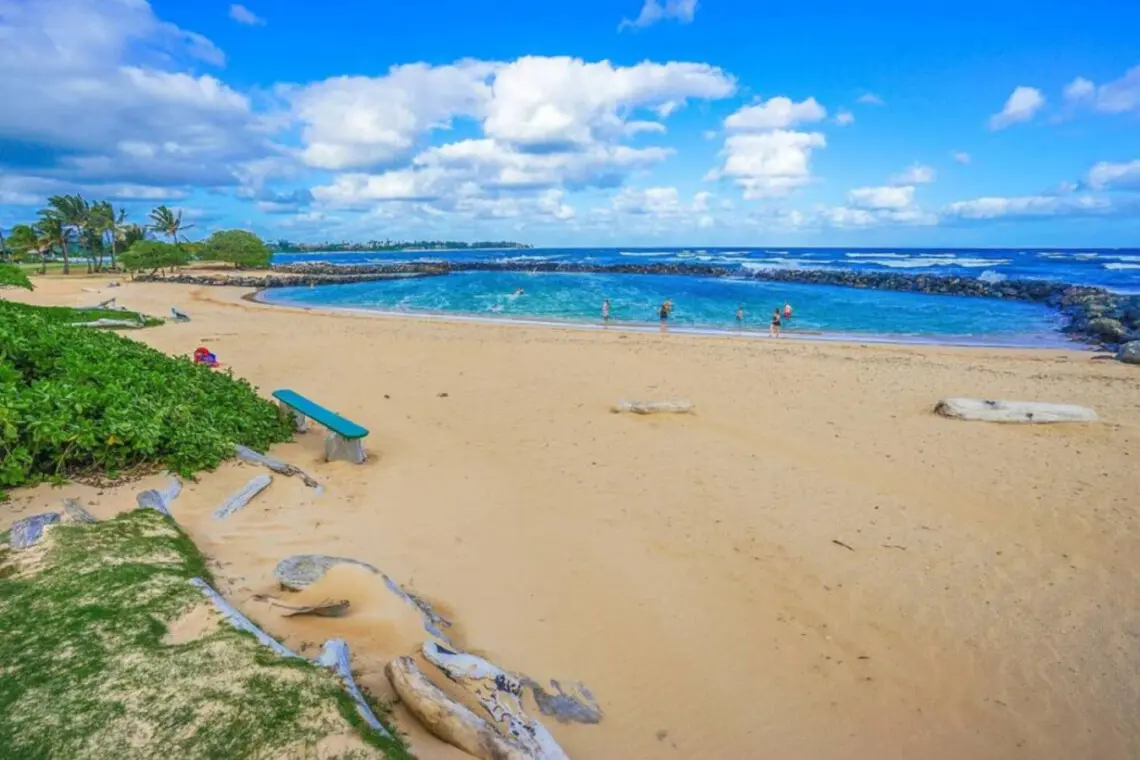 53003 138770 elxYW47x9breVvwKIFdAQ7mHe9Ok8TziwgQd166pWBo 694d4db85428c.jpg