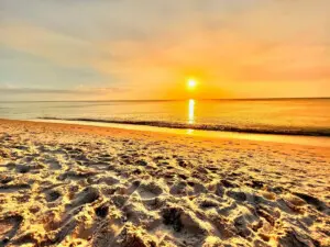 53003 138772 5AGH2rRdyCDinCYHP9ZuDqIHmflos9gFRMgklcOsrA8 6413cbbf0ee19.jpg