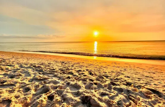 53003 138772 5AGH2rRdyCDinCYHP9ZuDqIHmflos9gFRMgklcOsrA8 6413cbbf0ee19.jpg