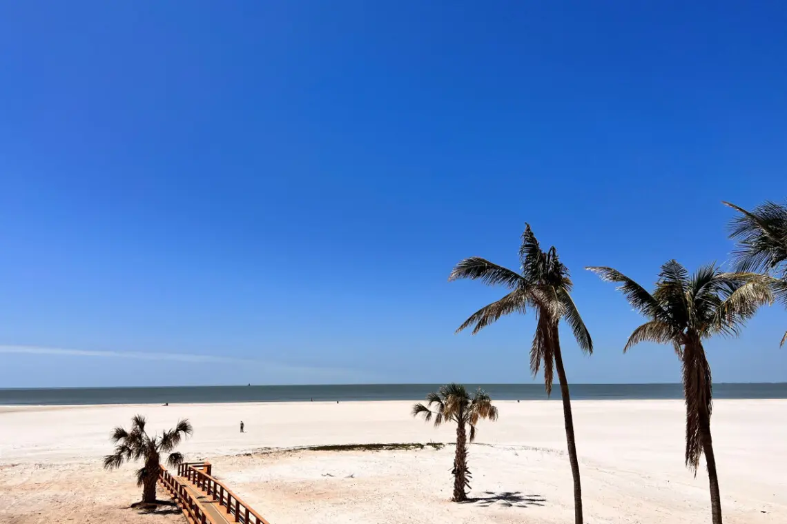 53003 138772 WFwVI8N8le ZpEWYN1ed2mGJUIxO96dhNG5T3PQFowc 6426d5e9b7f22.jpg