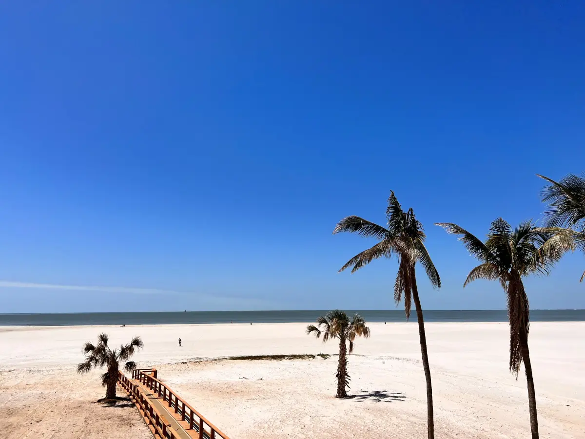 53003 138772 WFwVI8N8le ZpEWYN1ed2mGJUIxO96dhNG5T3PQFowc 6426d5e9b7f22.jpg