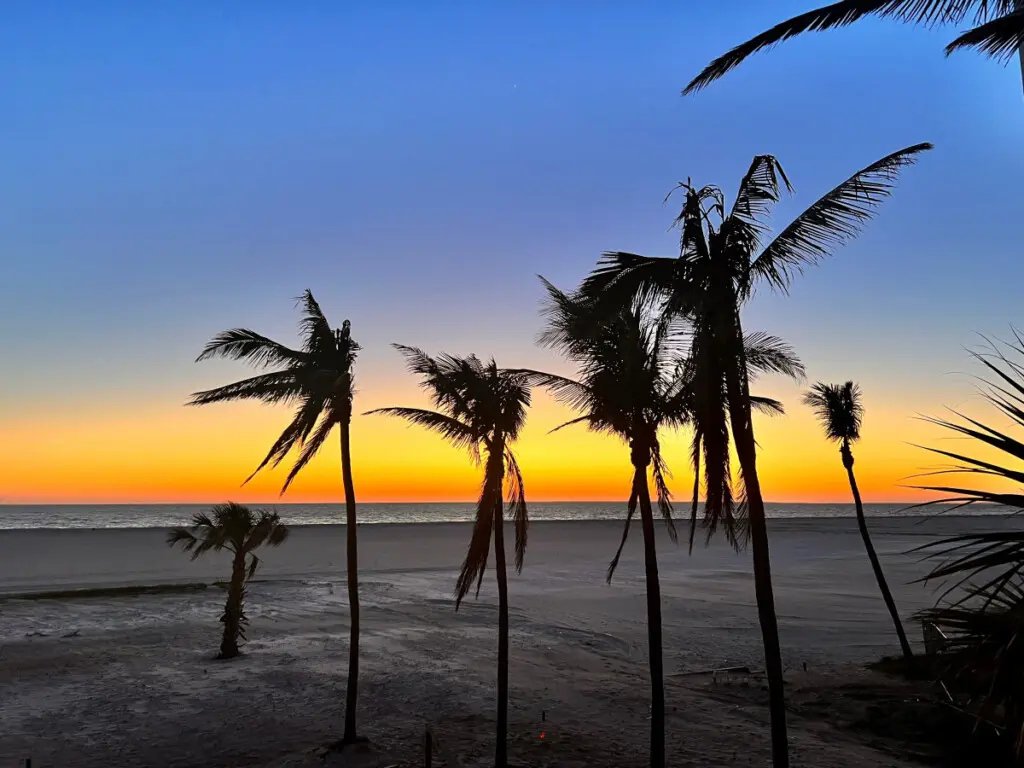 53003 138772 sbhKoMRdynGqS4gp7Id0CsA1gBF1LDMRK0kQhMJIBy8 6426d5f129705.jpg