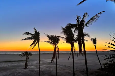 53003 138772 sbhKoMRdynGqS4gp7Id0CsA1gBF1LDMRK0kQhMJIBy8 6426d5f129705.jpg