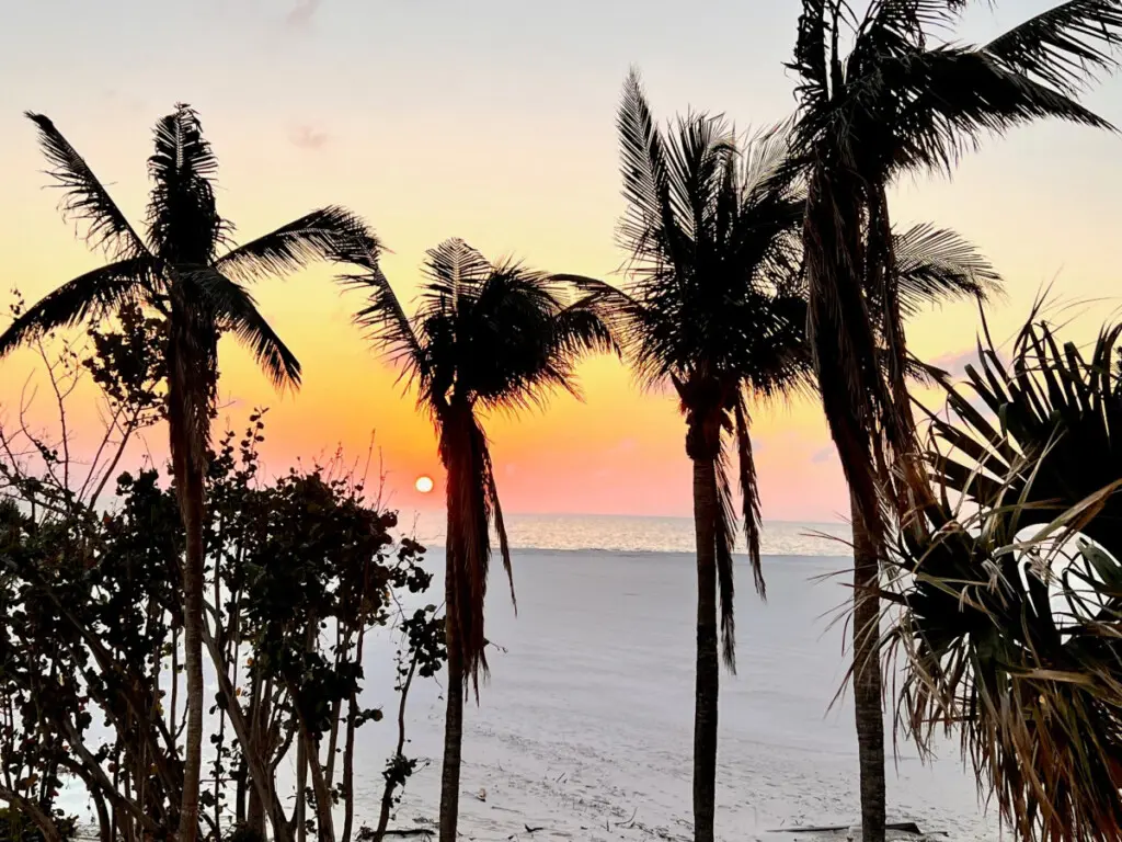 53003 138772 tNbqdqHJm1R1XR9m3Q76f1fbZcl7rXamEwZD3CX4q1s 64119353a6b7d.jpg