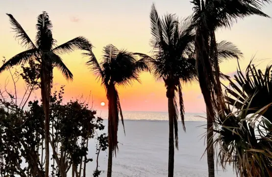 53003 138772 tNbqdqHJm1R1XR9m3Q76f1fbZcl7rXamEwZD3CX4q1s 64119353a6b7d.jpg