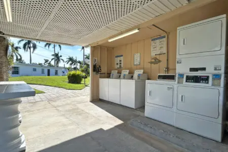 53003 152208 Zj0unVpxXXc7AVZNxEvS66cQuXtNsFSr ZIfrqhLULU 67e6ea17729c7.jpg