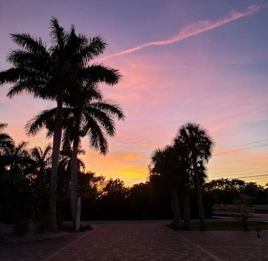 53003 152208 pGyYgJQfR9Jf9rF5CzEdJW5LjSarICR8hKMTu5EseRs 65cfcd8f160d7.jpg