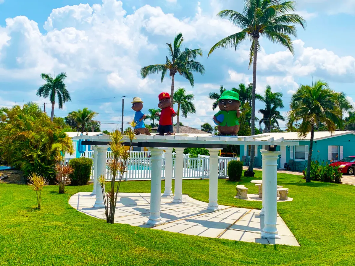 53003 159688 rmujF3pheNFLpL6IfjFaRoOyiq 5M2hCReVHgO1leUM 653c8f8556004.jpg