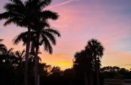 53003 163531 Uc cXglKkEi8pClSoyhpF8 CmcPRbV 6gbe2486xT5A 668498e0198f4.jpg