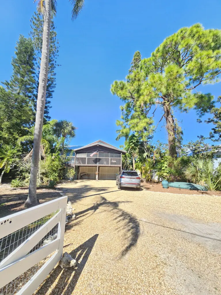 53003 254118 iuhXY cMxGVrsXfxVSZKrfe0zfwsrPzABbsWC4j5 U 6920b23ab6048.jpg