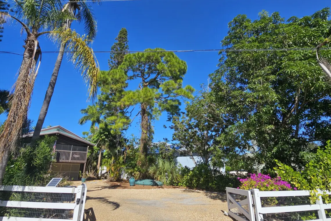 53003 254118 tjY pFGiLDYM eDMG4nOKcR3tX2o52TJSaLo1ffLeA 6920b251ead87.jpg