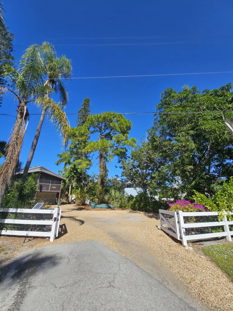 53003 254118 tjY pFGiLDYM eDMG4nOKcR3tX2o52TJSaLo1ffLeA 6920b251ead87.jpg