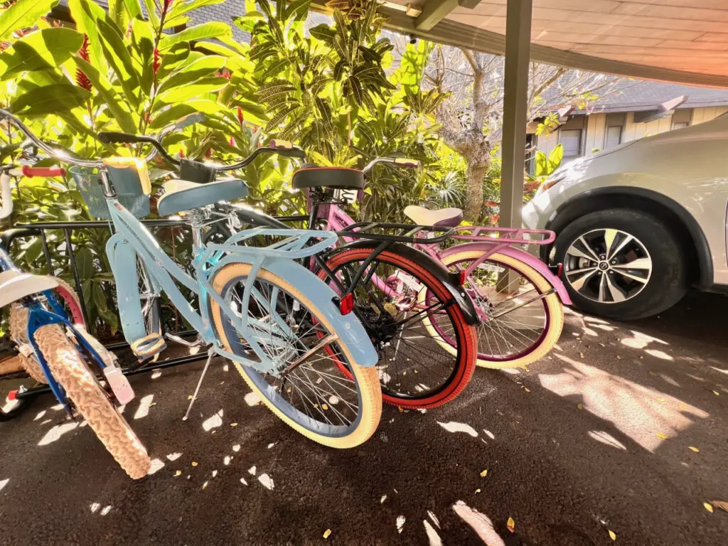 53003 257858 jXS 3PmUt5qFVSXrypfe8JGo2CDBcYGOtMpz45sHf84 67c8c39d1aeac.jpg