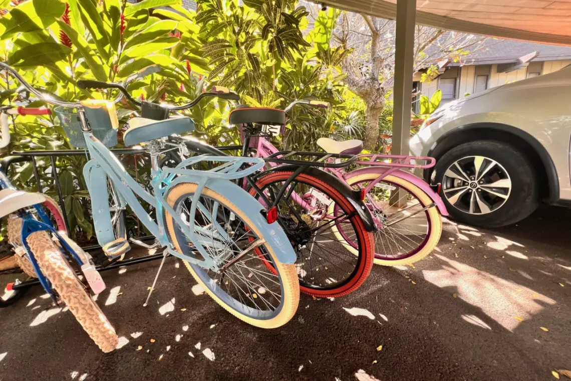 53003 257858 jXS 3PmUt5qFVSXrypfe8JGo2CDBcYGOtMpz45sHf84 67c8c39d1aeac.jpg