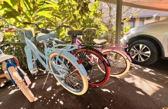 53003 257858 jXS 3PmUt5qFVSXrypfe8JGo2CDBcYGOtMpz45sHf84 67c8c39d1aeac.jpg