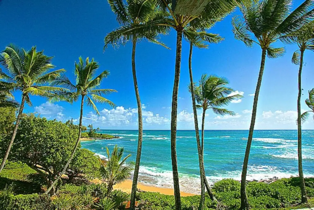 53003 257858 u HJ441yoDC4hNVmtTvssjSXWuqpVS hFO2WMnsvHrI 6766f4a94f6f2.jpg