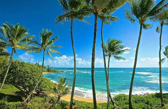 53003 257858 u HJ441yoDC4hNVmtTvssjSXWuqpVS hFO2WMnsvHrI 6766f4a94f6f2.jpg