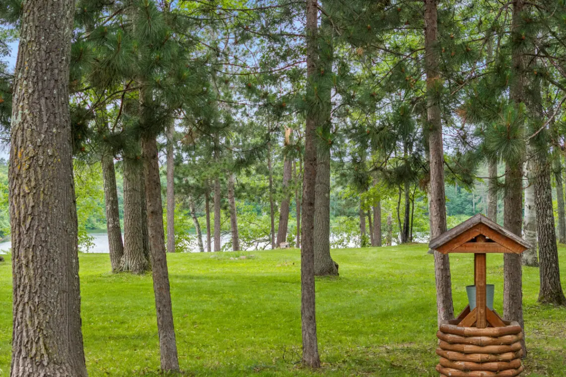 53003 271919 NG sFY56ZrJl6TJwmBpsDDWftLfKn2umymT8M9YQ6HA 6685c5102eb03.jpg