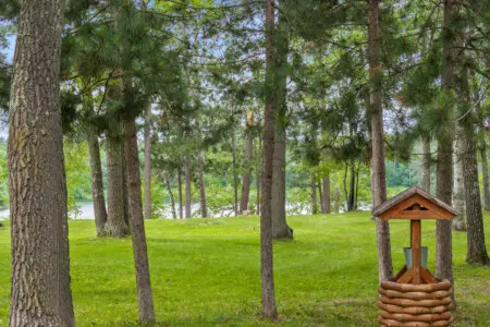 53003 271919 NG sFY56ZrJl6TJwmBpsDDWftLfKn2umymT8M9YQ6HA 6685c5102eb03.jpg