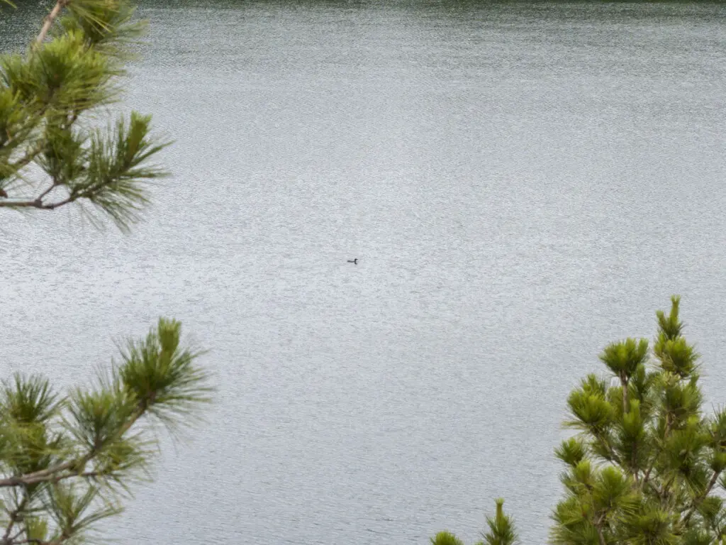 53003 271919 Z6Yb4Ds9ceNOY2FpWERe8h0UNiNPtr0i1o6GtPHlVIE 6685c450d8ea4.jpg