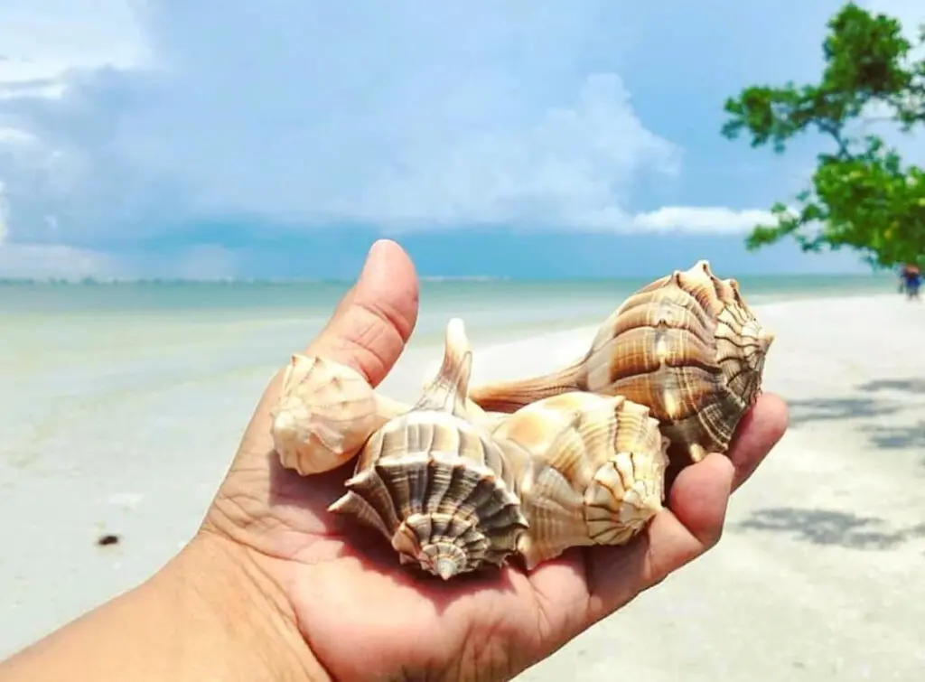 53003 301429 CmA5cOyYoWjLb96Te1Xs9kFzJYSU3gaU39zPcD1NqDo 6723993cd1c70.jpg