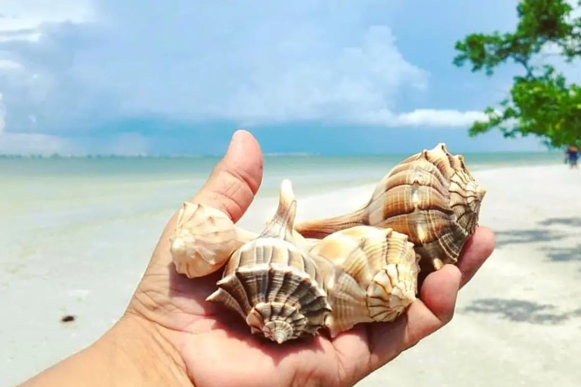 53003 301429 CmA5cOyYoWjLb96Te1Xs9kFzJYSU3gaU39zPcD1NqDo 6723993cd1c70.jpg