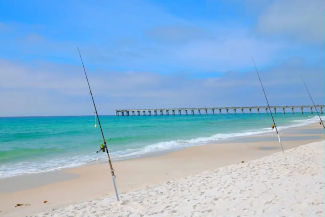 53003 301429 s6X9SJ 9pFbhArZ KYpfizUjUK8 08jDhX hiBIMoU 67239942beb70.jpg