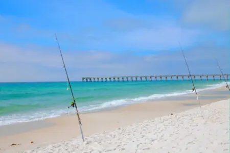 53003 301429 s6X9SJ 9pFbhArZ KYpfizUjUK8 08jDhX hiBIMoU 67239942beb70.jpg