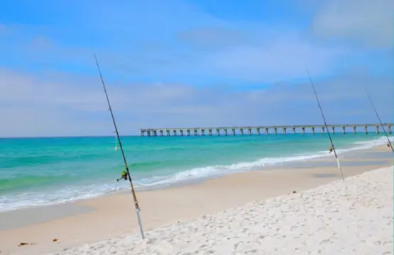 53003 301432 AJSISz23mFNcKfgTqFwBXhpUMxZH2DEIc6D7B81l Wg 672abc5b5bdfb.jpg