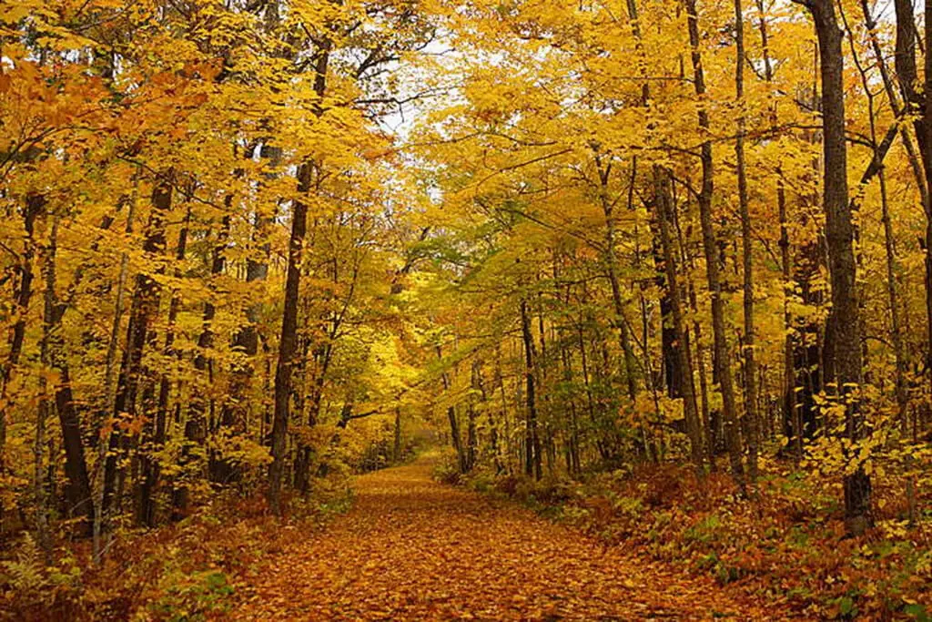 53003 387279 UAx6RpLBJuJ10h saQv7udFMXaUKG3c970ZNfbQVUck 691bb1f7598f5.jpg