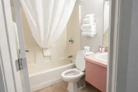 53003 479988 uMAQLy2xa8nmntLujnHqwYb2GFcw9vy4UQ 727od6e8 697821febcd14.jpg