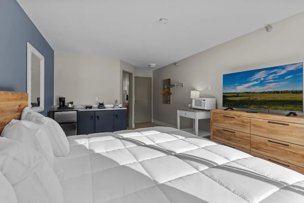 53003 431188 OecuadmYJLSS6et085OPJlUFMkWpOCm3MsHsZsapvXI 699f39a6ddb6a.jpg