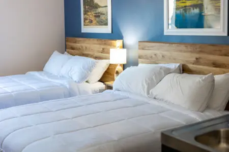 53003 431827 IfwySutAOf5 ptaU1bomTD0N8Ufjd OCVofvSQY7jbs 69a09c7a19bdf.jpg