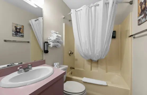 53003 433346 bAYdqvDvDXMWsThRAr2H1yU YpQaL R22ra21qRqqQ 699f49d50c6cc.jpg