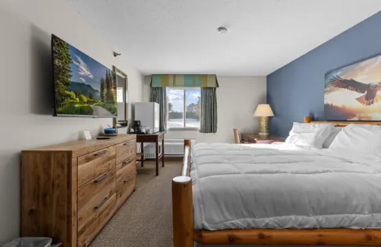 53003 433346 iI1ncdIfyYxkSrevbE9wWthRtcbPRmHmBNGYGFX8Gjo 699f49fb4535f.jpg