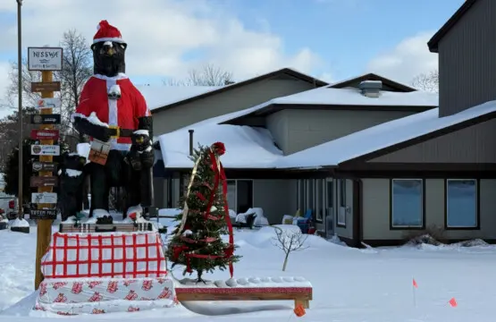 53003 433347 N atzTj7dA 7FMJiZBtTAIYwgOjduVM3 5rIkeXoKK4 694f36d2d9ab5.jpg