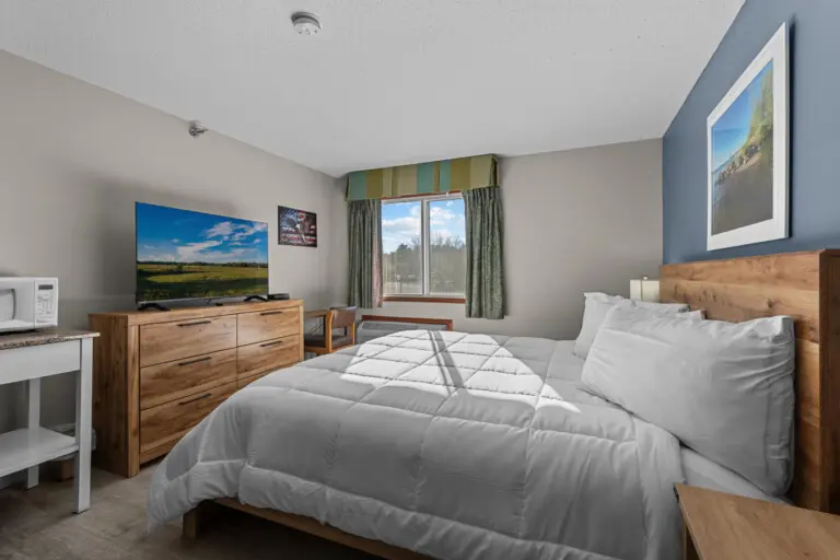 53003 479988 FakTv1YmII8jVapby90YWi8tzve4Gf1WePFWwsxC1qY 69b9cff475ea2.jpg