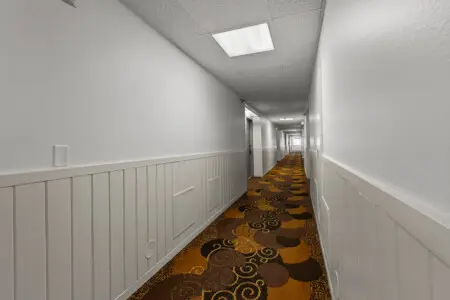 53003 479988 wsDJ291g0QuERI4JRQDy99KY QeodVK9lkxge8qJ9d4 69b9d0166c617.jpg