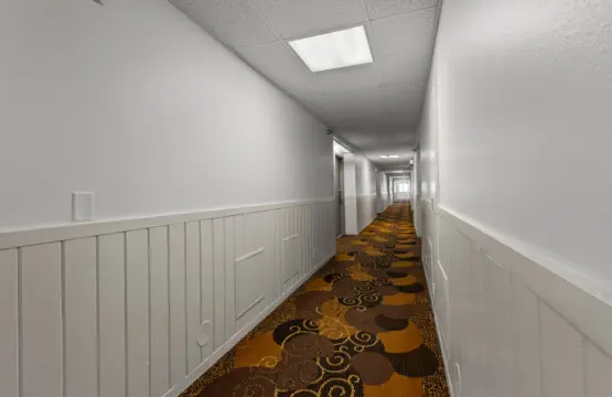 53003 479988 wsDJ291g0QuERI4JRQDy99KY QeodVK9lkxge8qJ9d4 69b9d0166c617.jpg