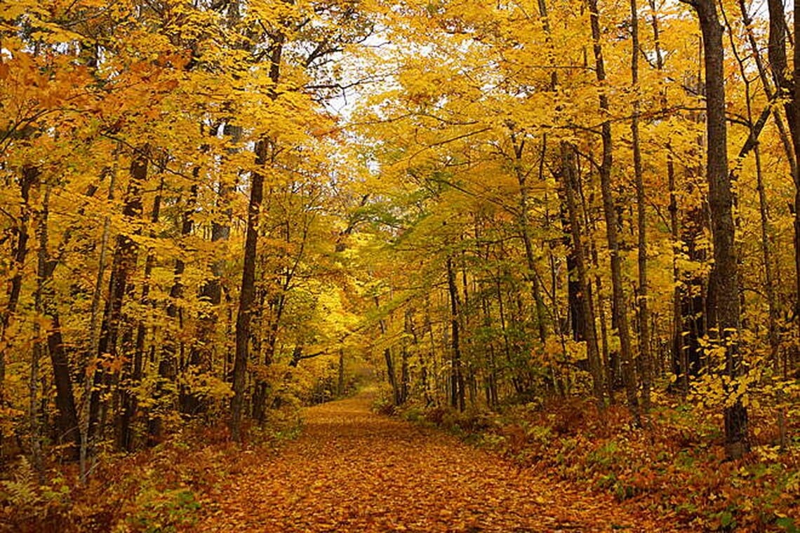 itasca trail upscaled